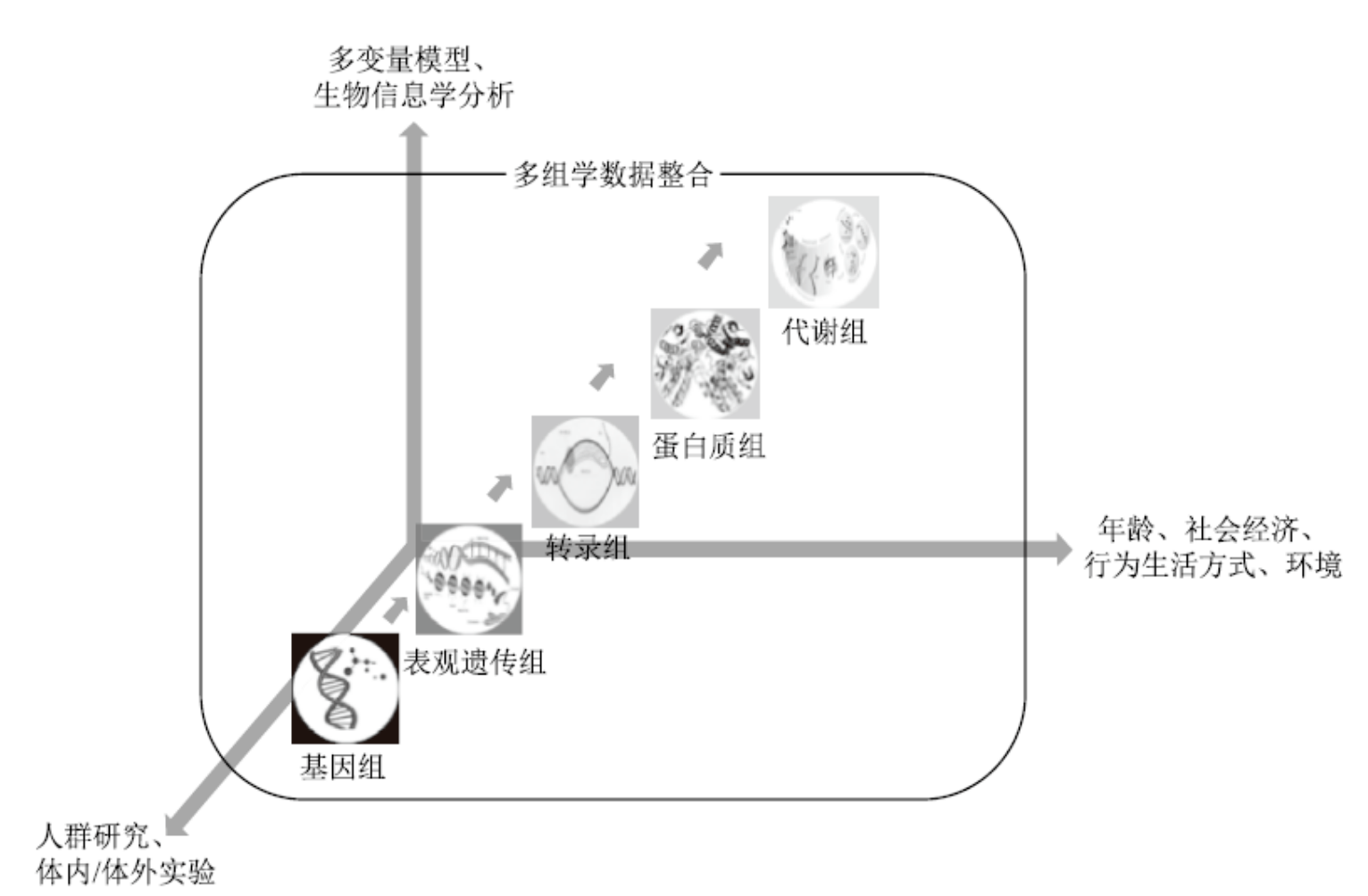 精準(zhǔn)醫(yī)療 精準(zhǔn)醫(yī)療