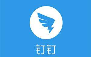 <b>DING~對(duì)中小企業(yè)而言,釘釘有用嗎?</b>